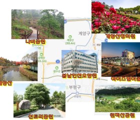 봄날인천